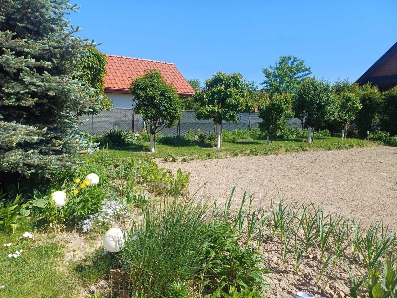 Działka budowlana Turowola. Zdjęcie 5