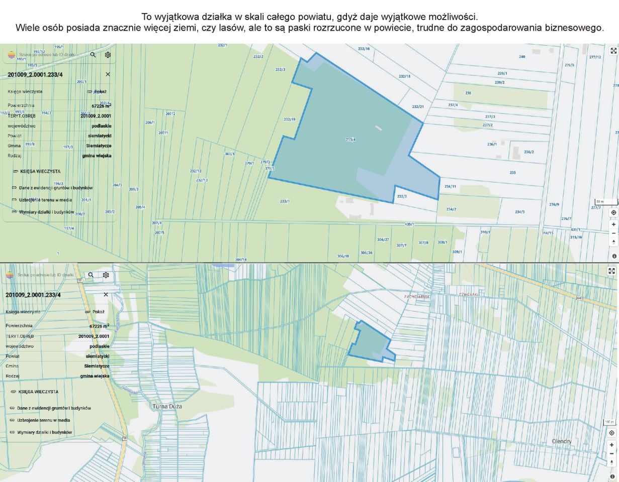 Działka leśna Turna Duża. Zdjęcie 3