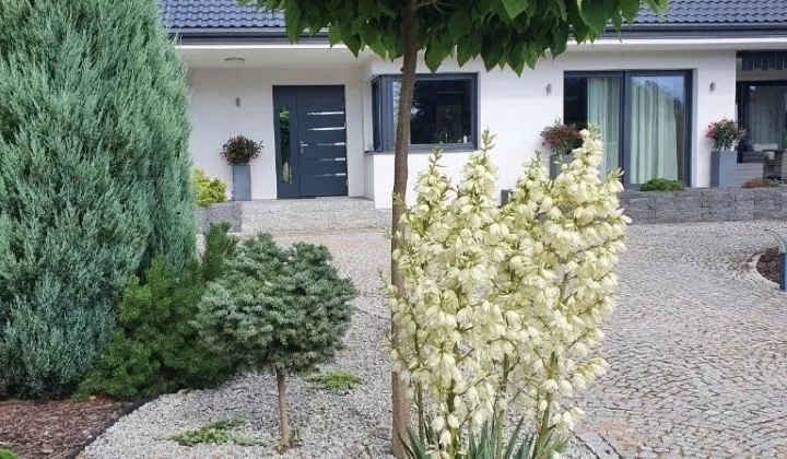 dom wolnostojący, 4 pokoje Łódź