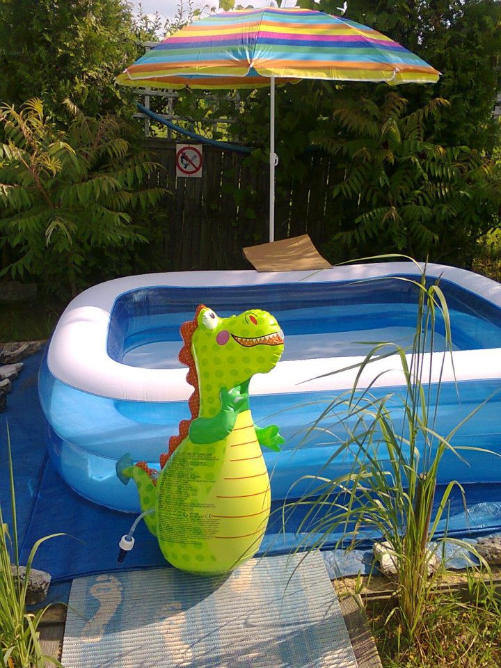 Działka rekreacyjna Częstochowa Błeszno, ul. Kusocińskiego. Zdjęcie 11