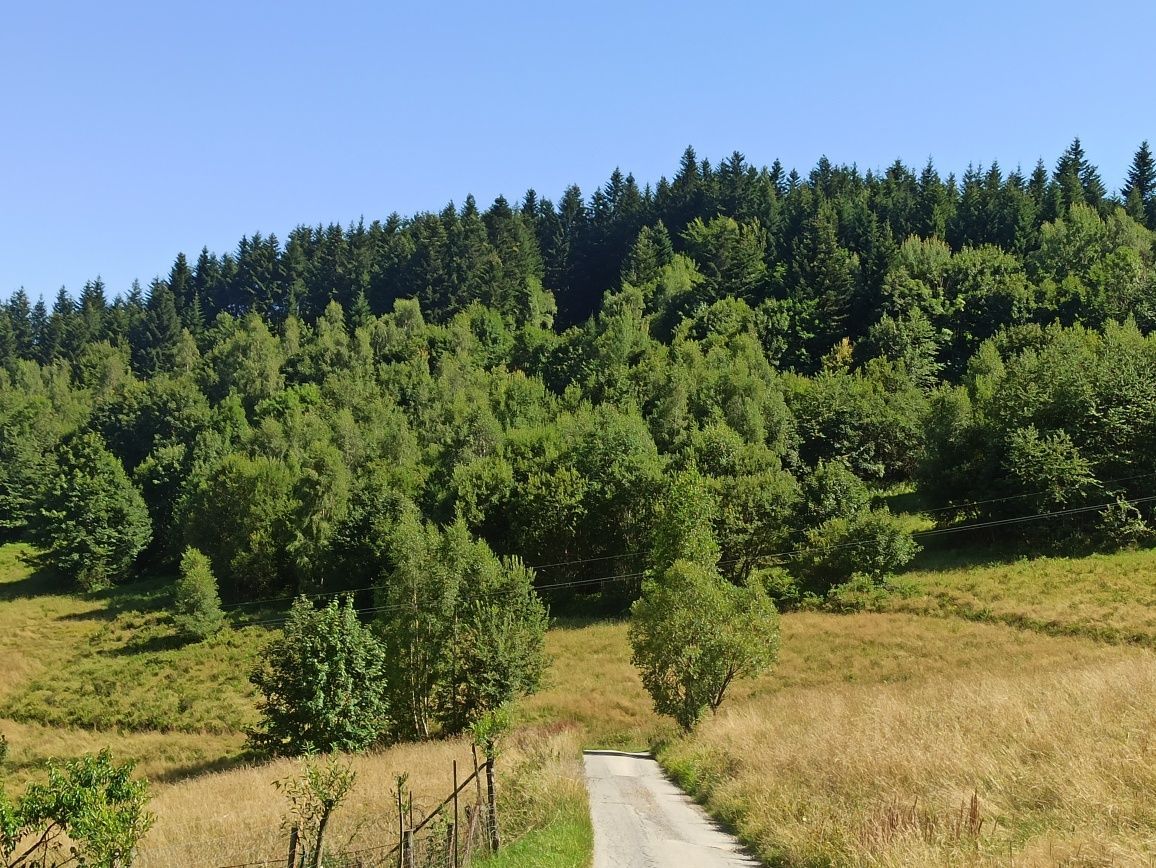 Działka rekreacyjna Zawoja. Zdjęcie 2