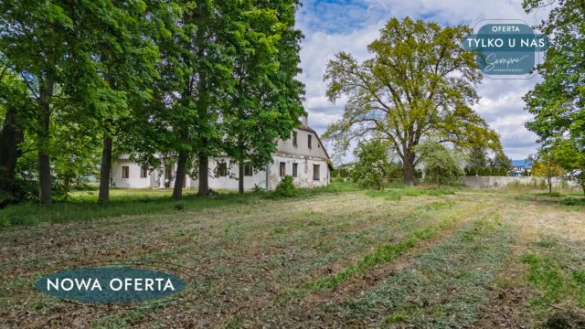 Lokal Kalinowa. Zdjęcie 14