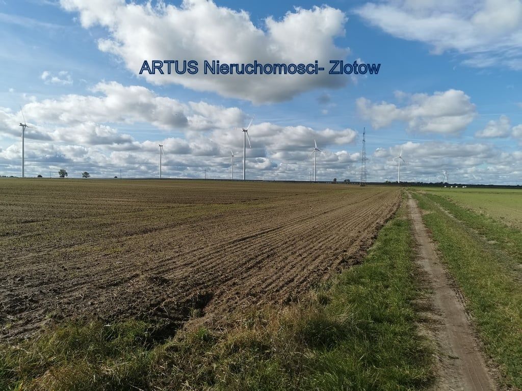 Działka inwestycyjna Blękwit. Zdjęcie 6