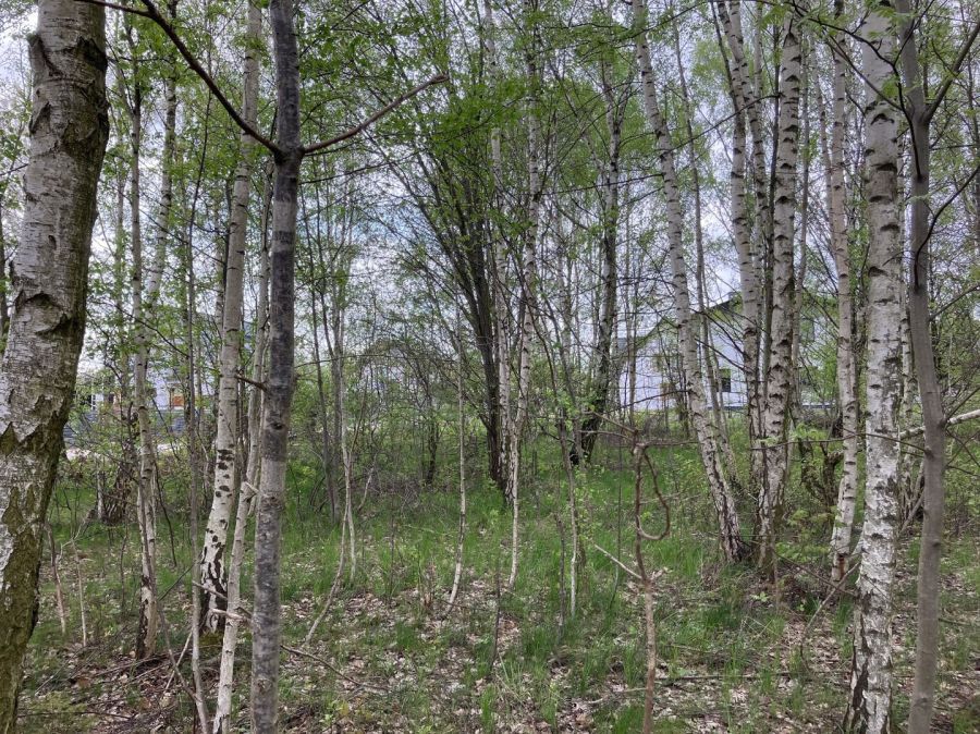 Działka budowlana Jagatowo, ul. Maślakowa. Zdjęcie 4