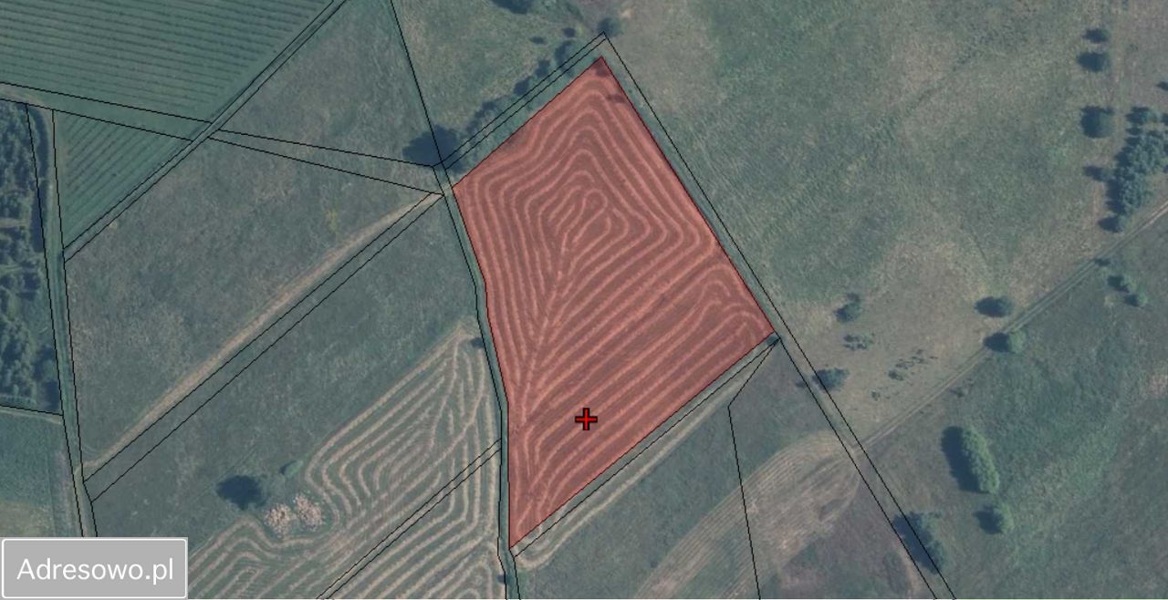 Działka rolna Kozin. Zdjęcie 2