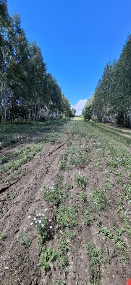 Działka siedliskowa Stara Prawda. Zdjęcie 3