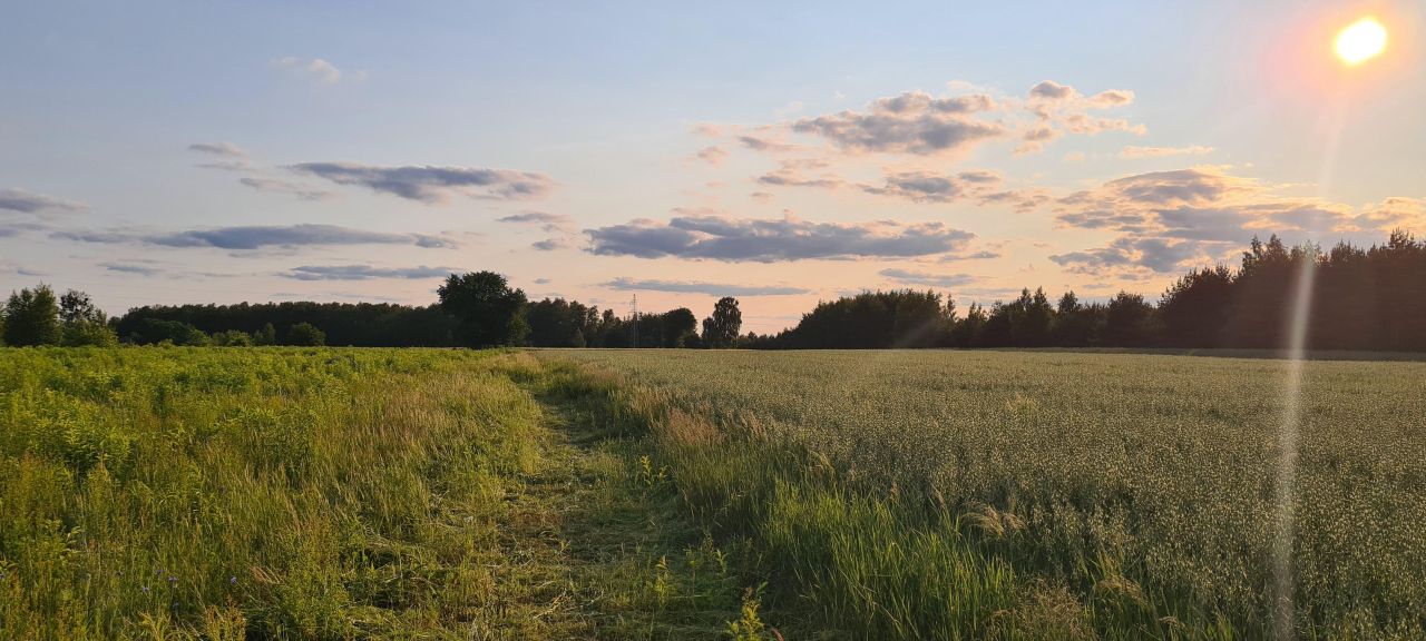 Działka budowlana Leśne Odpadki, ul. Gruszowa. Zdjęcie 4