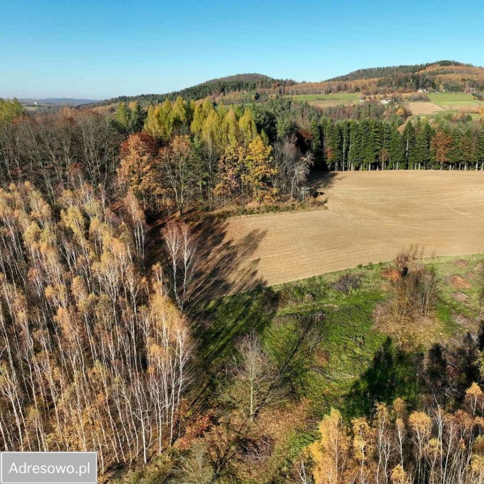 Działka rolno-budowlana Olszowa. Zdjęcie 4