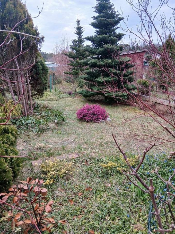 Działka rod Wadąg. Zdjęcie 2