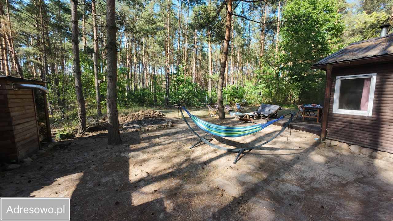 Działka rekreacyjna Borków. Zdjęcie 6