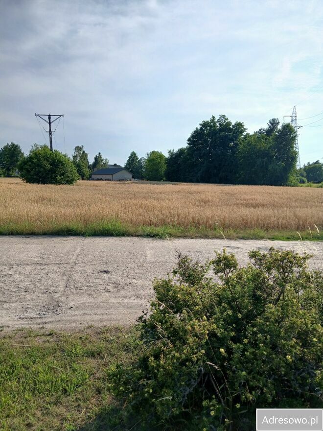 Działka rolna Łódź. Zdjęcie 2