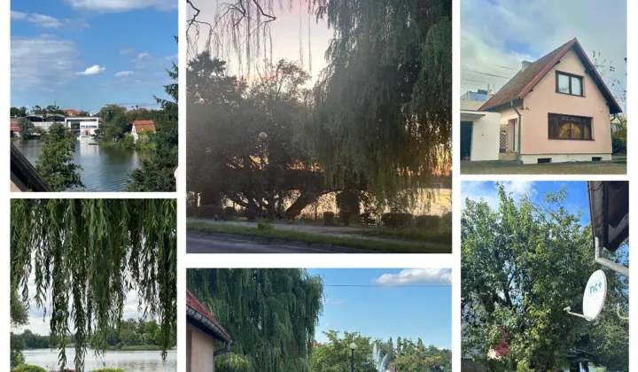 dom wolnostojący Iława, ul. Adama Mickiewicza