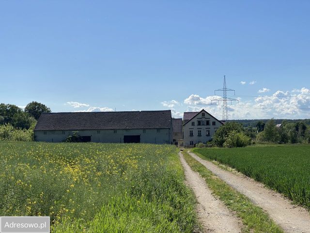 Działka budowlana Warta Bolesławiecka. Zdjęcie 1