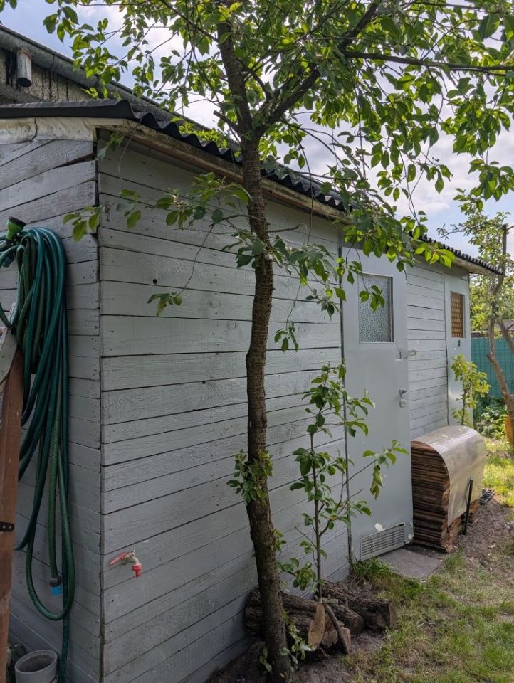 Działka rod Solec Kujawski. Zdjęcie 3