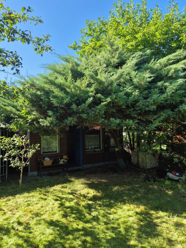 Działka rod Zabrze. Zdjęcie 4