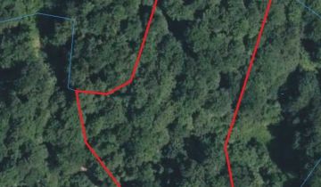 Działka leśna Szczawnica