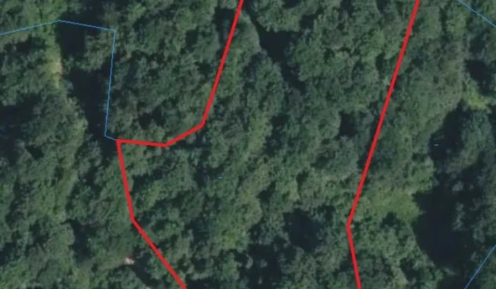 Działka leśna Szczawnica