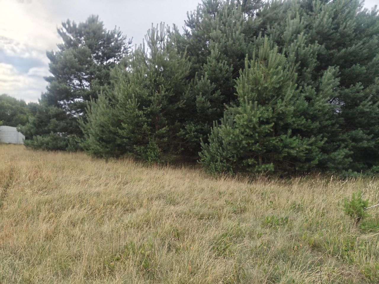 Działka budowlana Rąpin. Zdjęcie 9