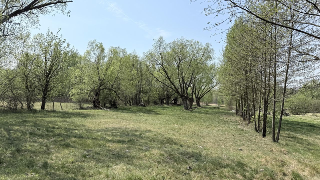 Działka budowlana Michałów, Długa 52. Zdjęcie 6