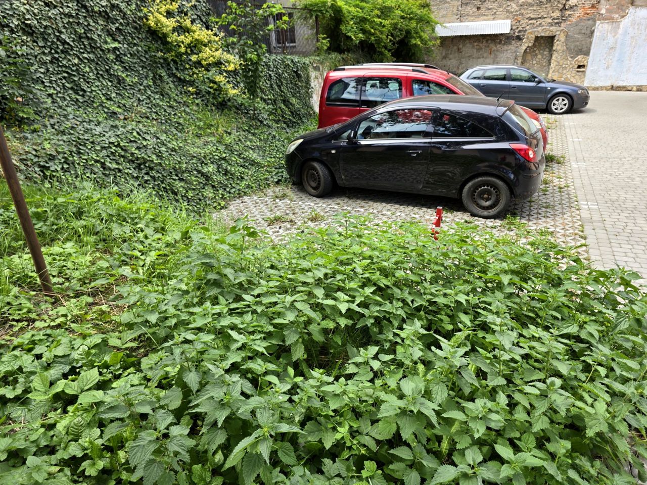 Mieszkanie 1-pokojowe Przemyśl, ul. Aleksandra Dworskiego. Zdjęcie 14