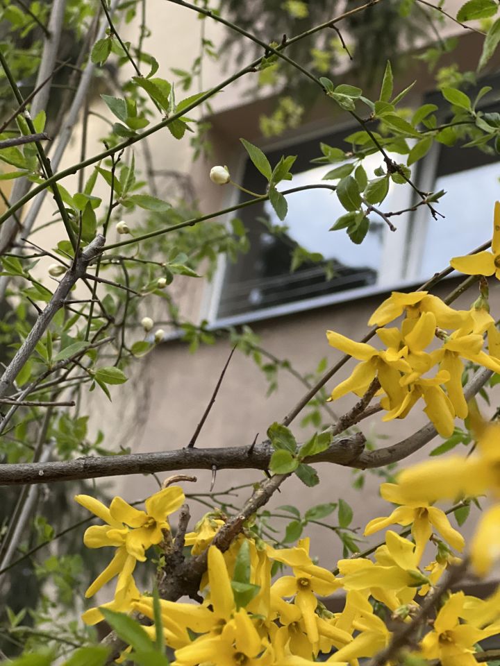 Mieszkanie 2-pokojowe Zduńska Wola Osmolin, ul. Szkolna. Zdjęcie 16