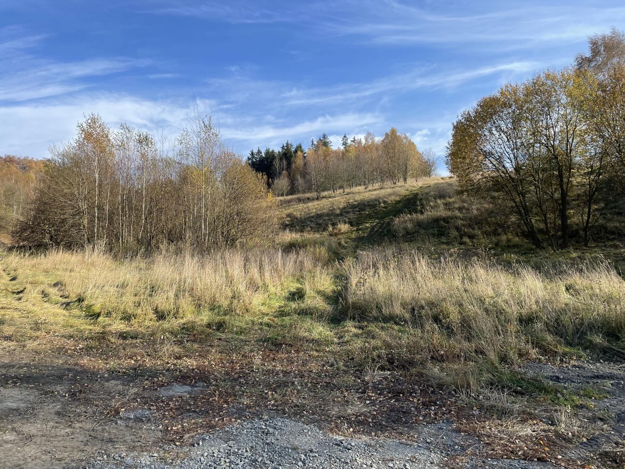 Działka siedliskowa Ptaszków. Zdjęcie 11