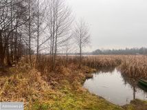 Działka budowlana Klusek. Zdjęcie 1