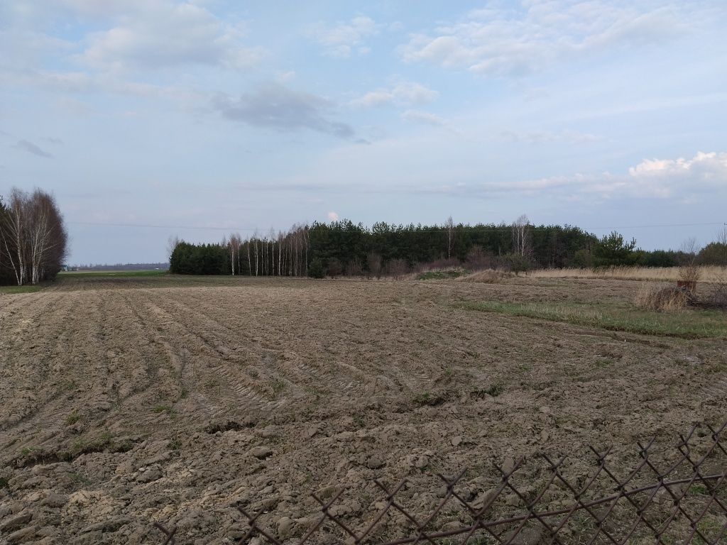 Działka budowlana Nowy Dwór. Zdjęcie 4
