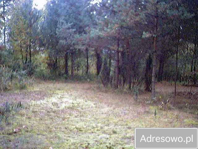 Działka Jaworznik, ul. Ściegienna. Zdjęcie 4