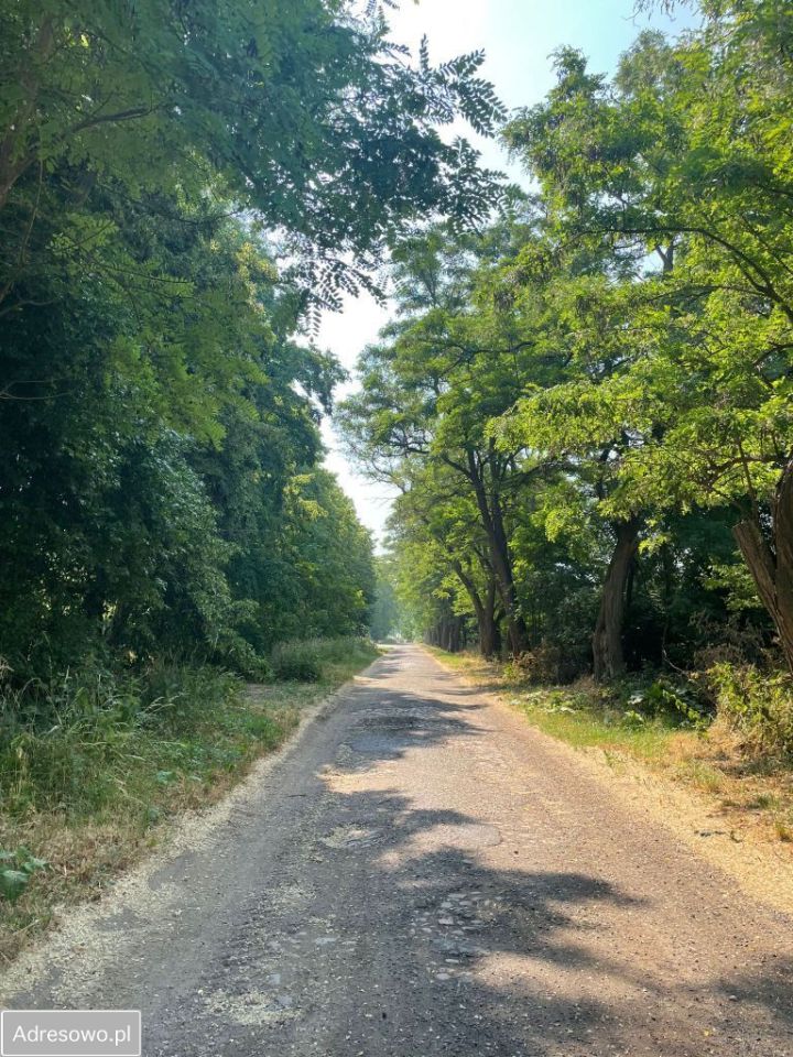 Działka rolno-budowlana Pyrzyce, ul. Staromiejska. Zdjęcie 4