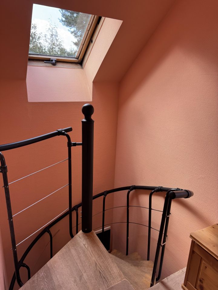 Działka rod Szczodrochowo. Zdjęcie 5