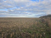 Działka rolna Snowidza. Zdjęcie 3