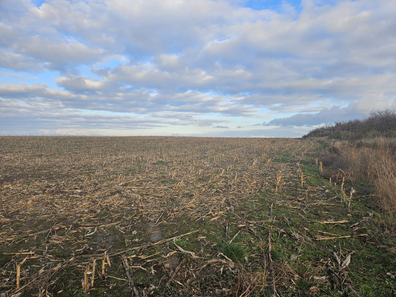 Działka rolna Snowidza. Zdjęcie 4