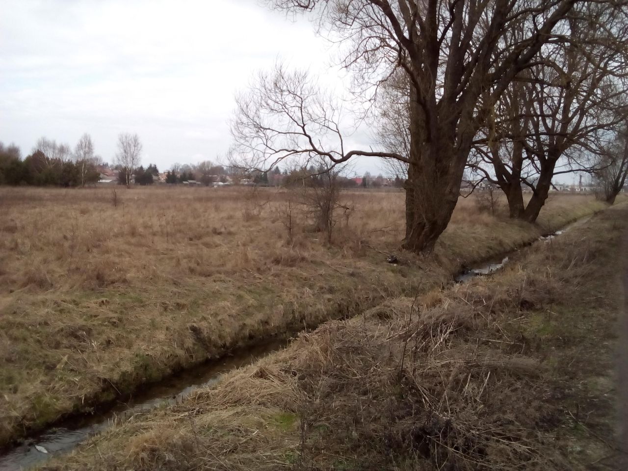 Działka budowlana Czarne, ul. Łąkowa. Zdjęcie 7