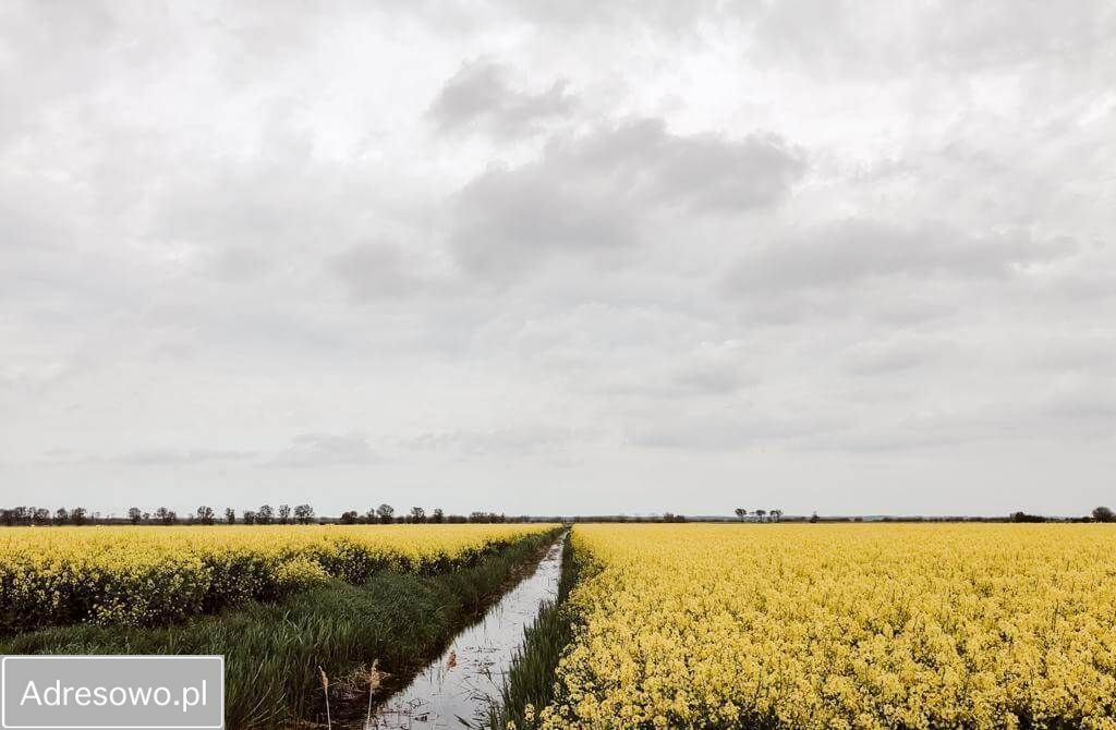 dom wolnostojący, 8 pokoi Groszkowo. Zdjęcie 4