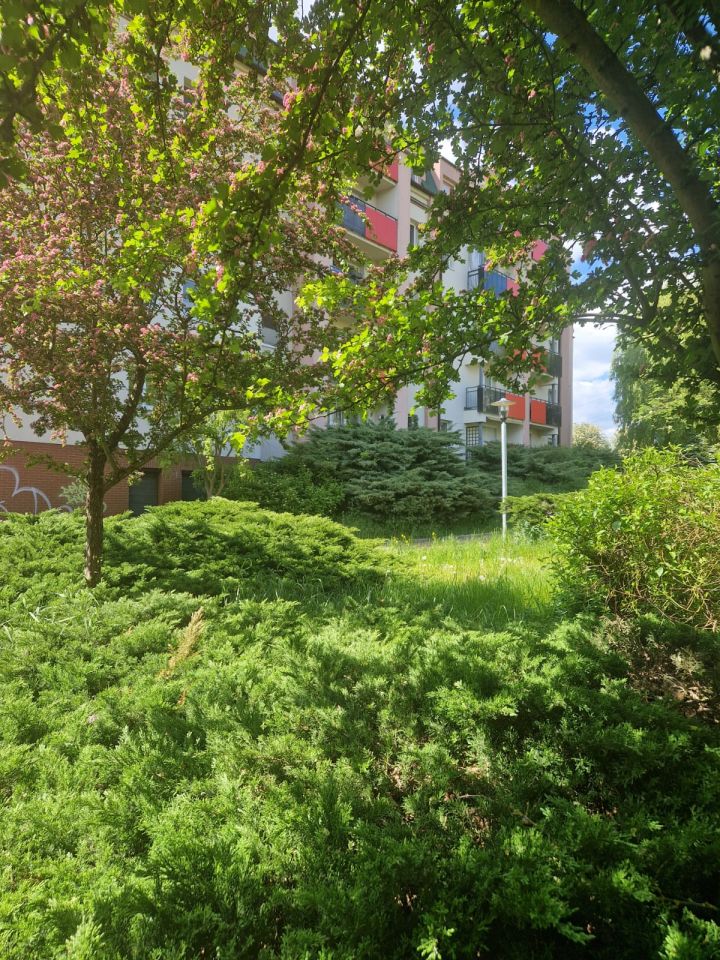 Mieszkanie 4-pokojowe Szczecin Niebuszewo, ul. Przyjaciół Żołnierza. Zdjęcie 26