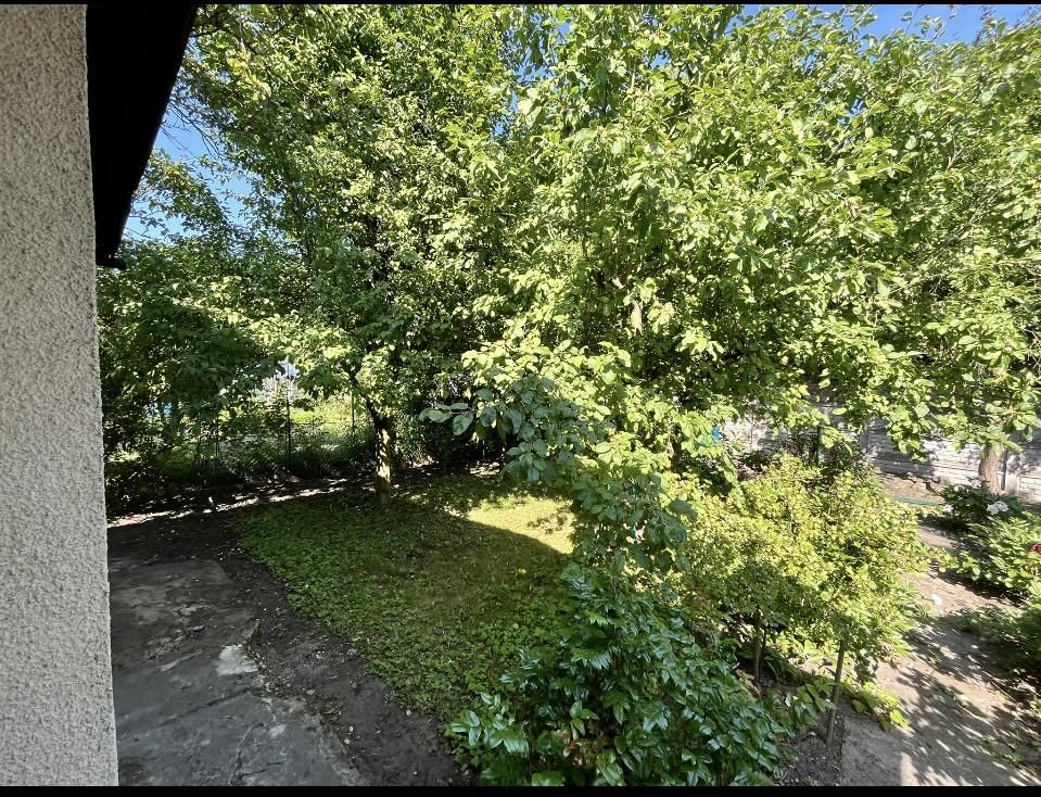 Działka rod Poznań Dolna Wilda, ul. Wspólna. Zdjęcie 9