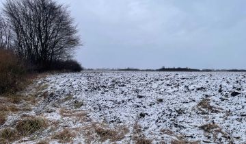 Działka rolna Cerekiew