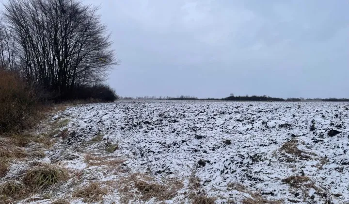 Działka rolna Cerekiew