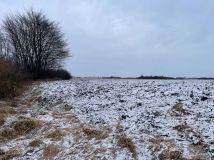 Działka rolna Cerekiew