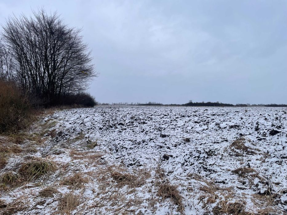 Działka rolna Cerekiew