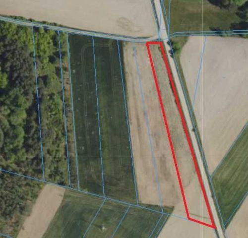 Działka rolna Płonka Kościelna. Zdjęcie 1