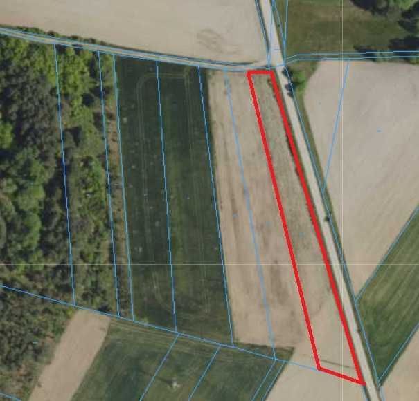 Działka rolna Płonka Kościelna. Zdjęcie 1