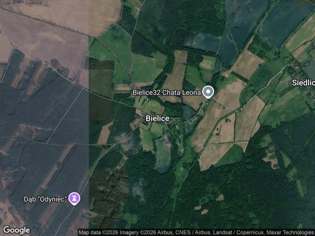 Działka rolna Bielice. Zdjęcie 1