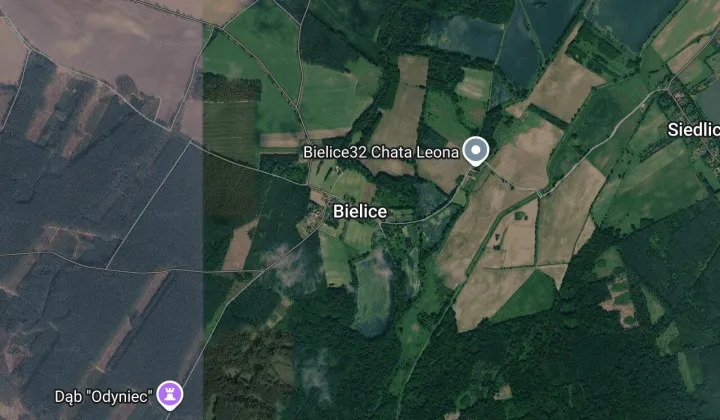 Działka rolna Bielice