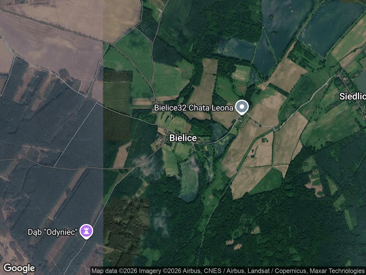 Działka rolna Bielice. Zdjęcie 1