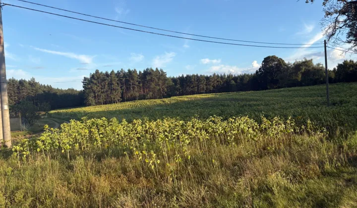 Działka budowlana Dąbrówka Nowa