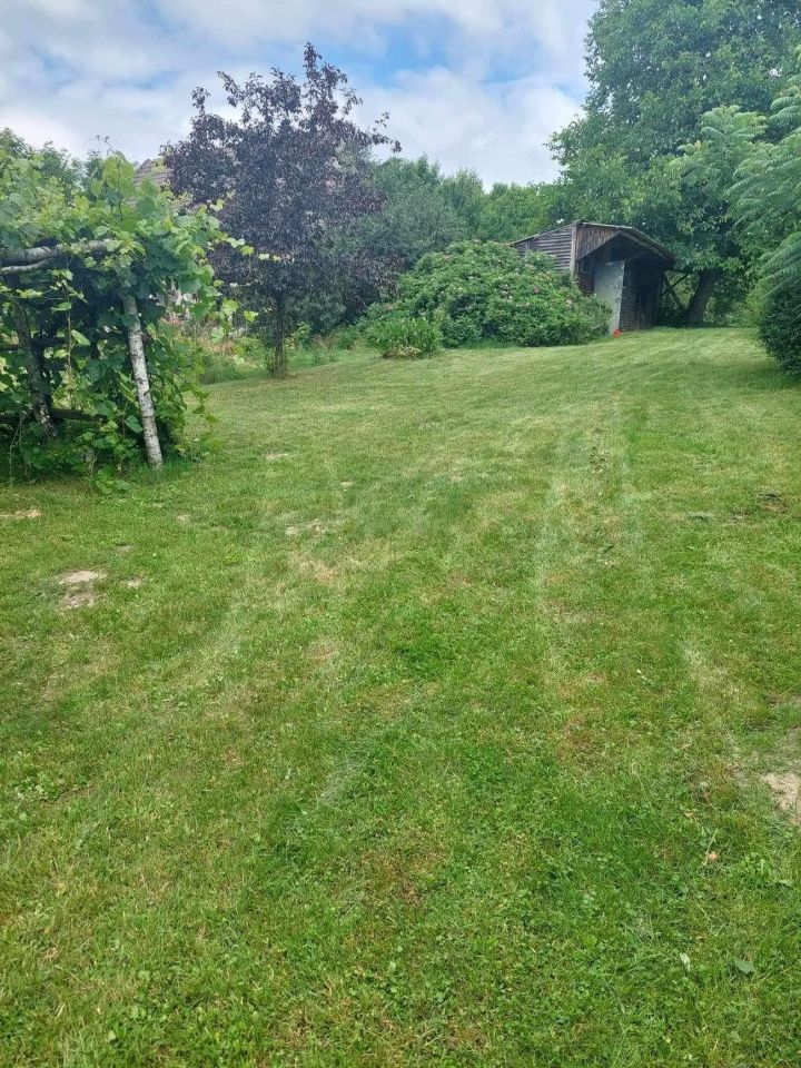 Działka rolno-budowlana Lasocin. Zdjęcie 4