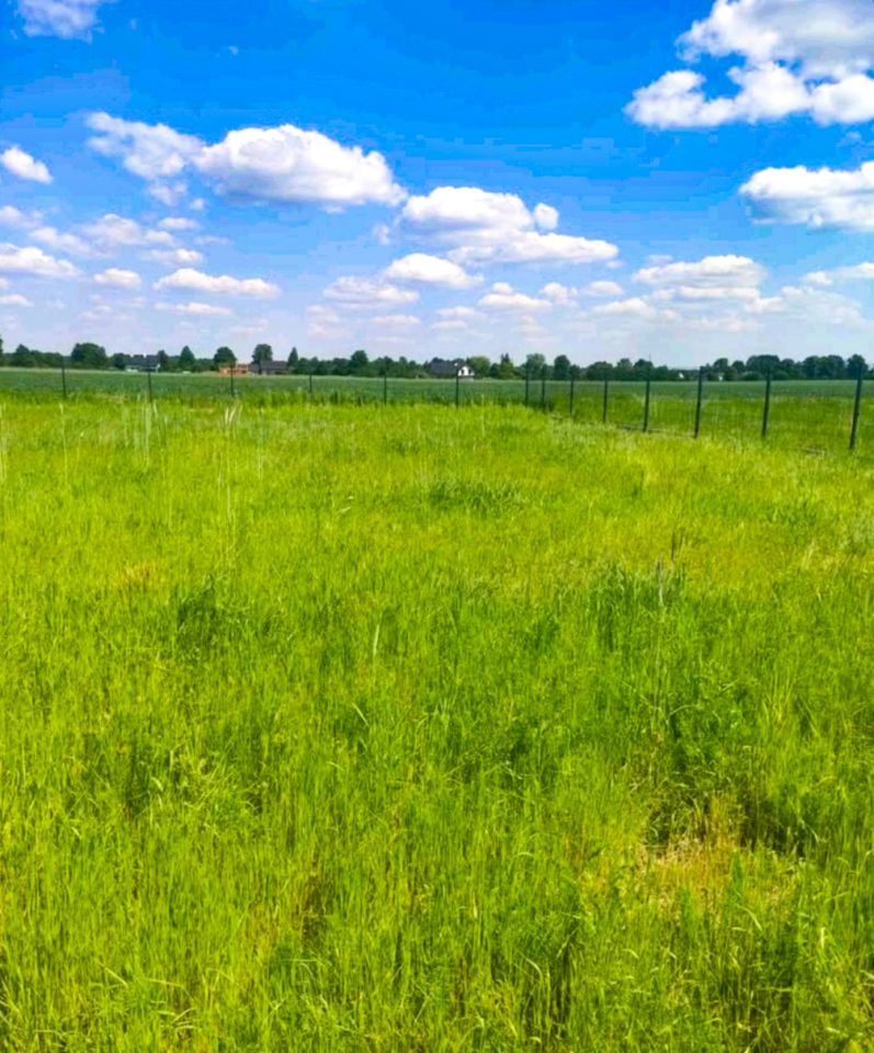 Działka rolno-budowlana Wronowice Kliny, ul. Sielankowa. Zdjęcie 4