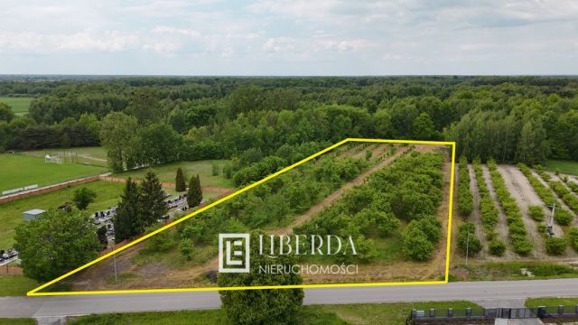 Działka Ludwin. Zdjęcie 3